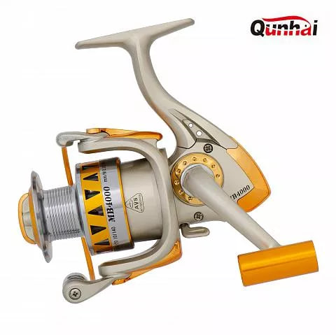 MB